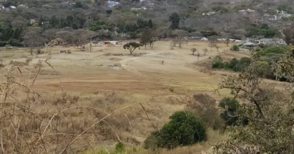High Court Halts Alleged Glen Lorne Wetland Development