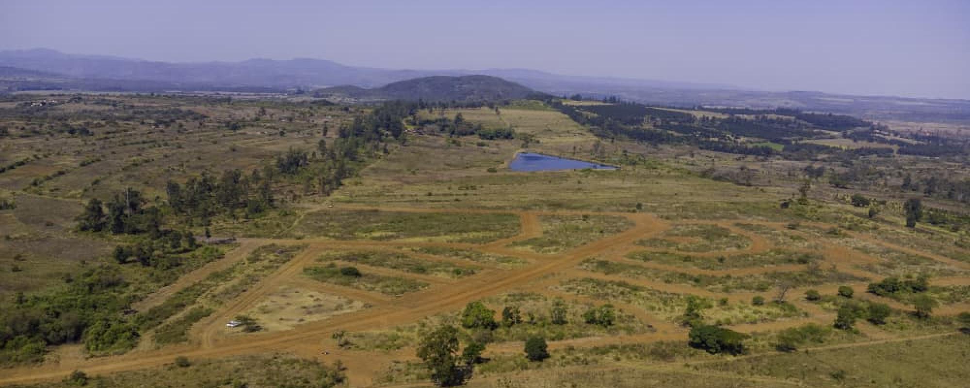 The Nest Chipinge