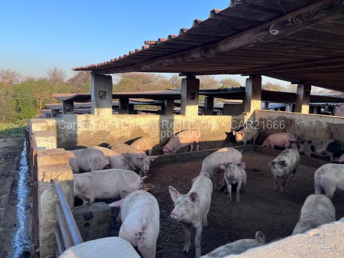 Warehouse/Industrial to Rent in Glen Forest, Harare