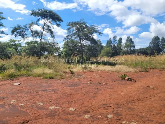 Farm/Plot for Sale in Christon Bank, Christon Bank