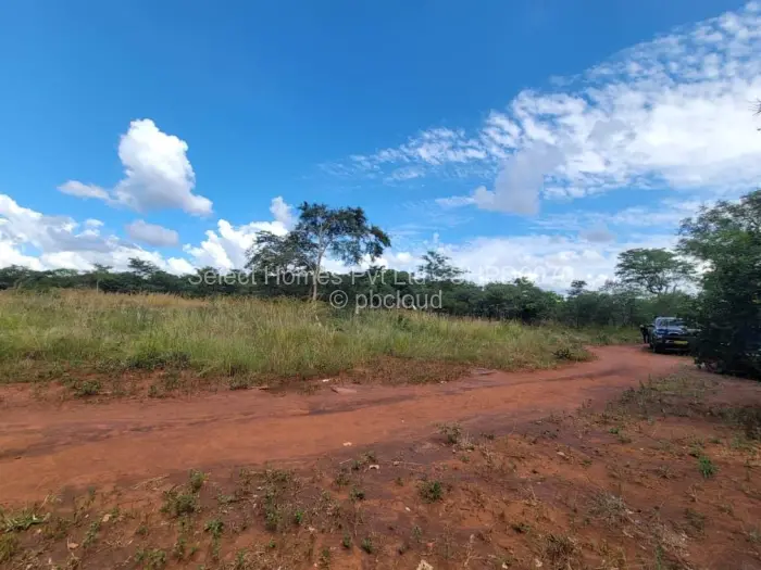 Farm/Plot for Sale in Christon Bank, Christon Bank