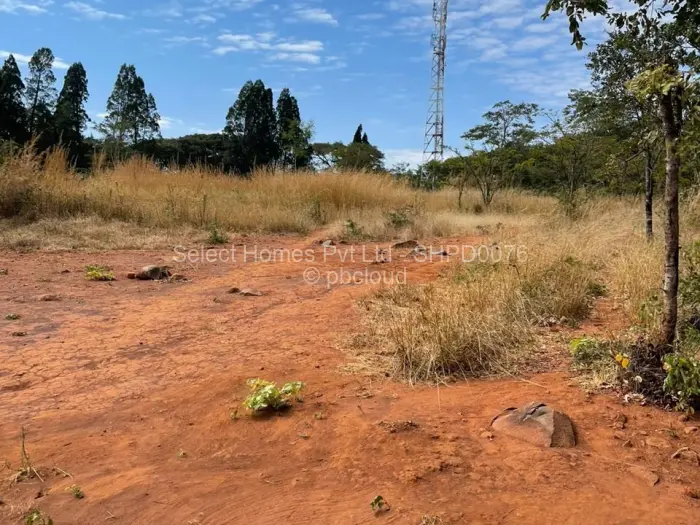 Farm/Plot for Sale in Christon Bank, Christon Bank