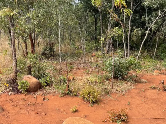 Farm/Plot for Sale in Christon Bank, Christon Bank