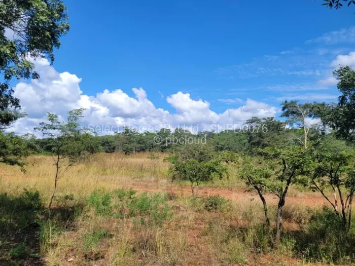 Farm/Plot for Sale in Christon Bank, Christon Bank