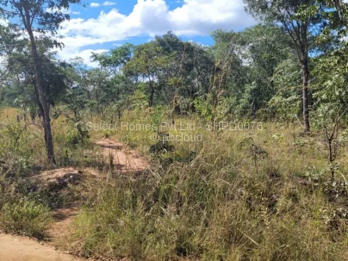 Farm/Plot for Sale in Christon Bank, Christon Bank