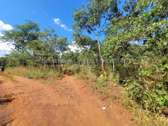 Farm/Plot for Sale in Christon Bank, Christon Bank