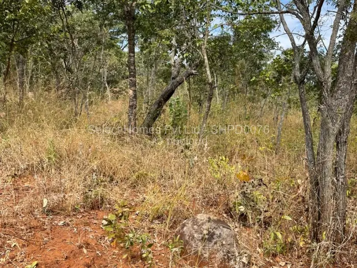 Farm/Plot for Sale in Christon Bank, Christon Bank