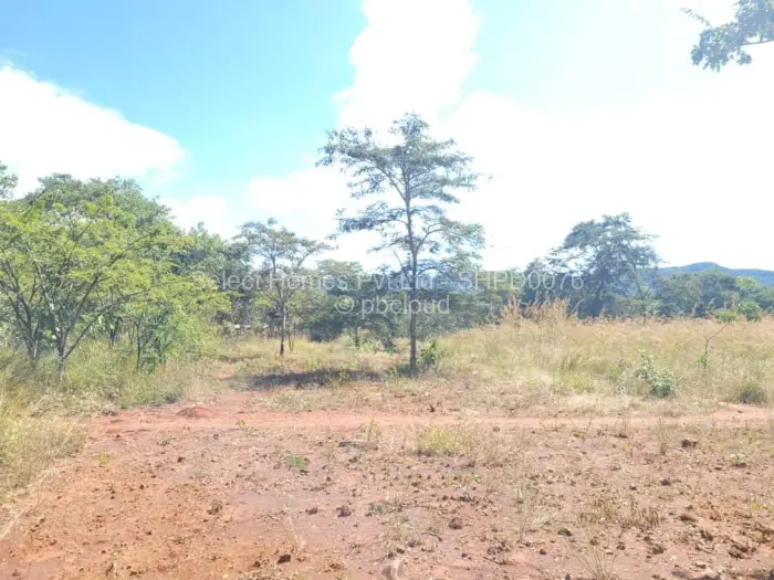 Farm/Plot for Sale in Christon Bank, Christon Bank