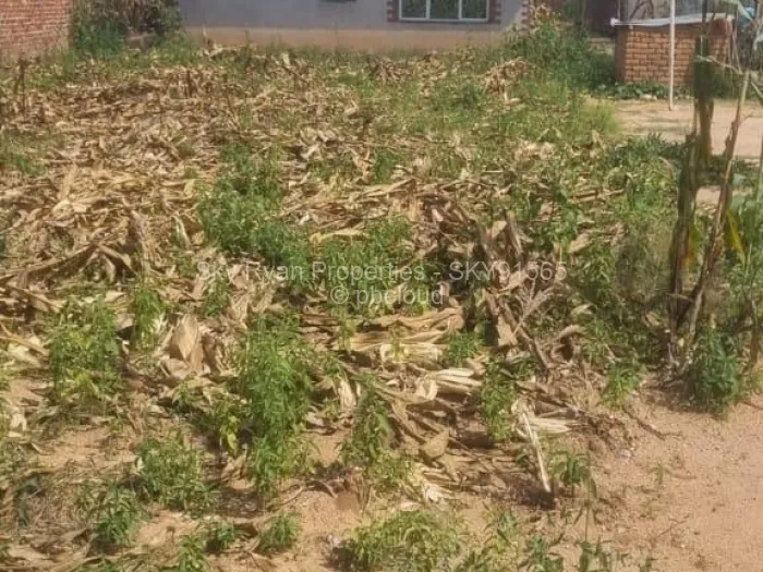 Stand for Sale in Timire Park Ruwa, Ruwa