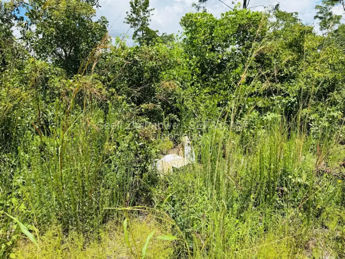 Land for Sale in Ruwa, Ruwa