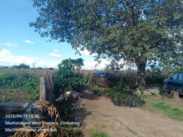 Farm for Sale in Zvimba, Zvimba