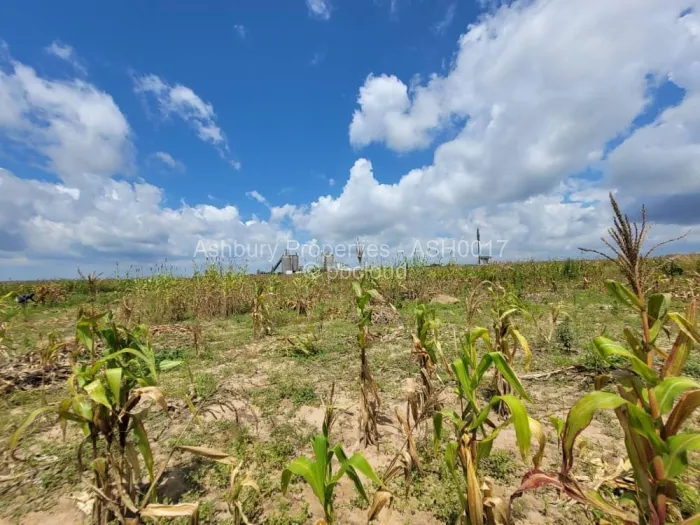 Farm/Plot for Sale in Sunway City, Harare