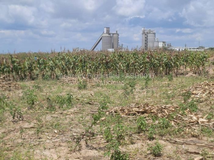 Farm/Plot for Sale in Sunway City, Harare