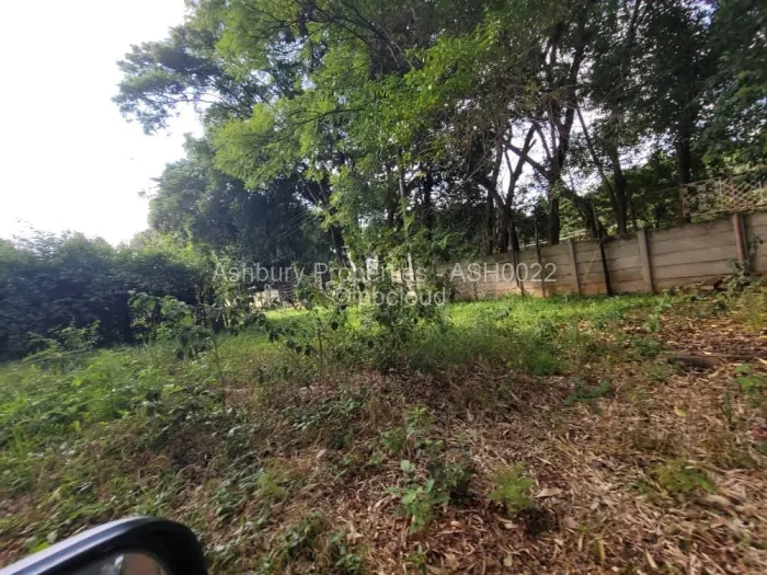 Commercial Stand for Sale in Meyrick Park, Harare