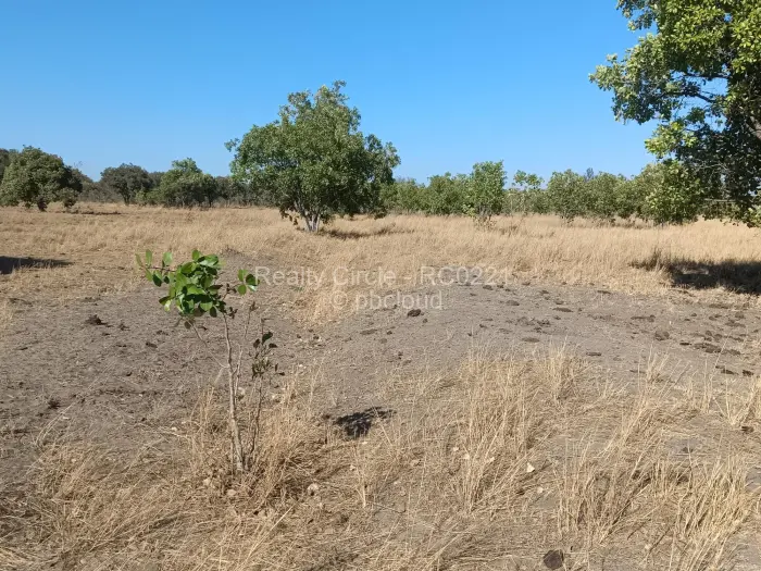 Farm/Plot for Sale in Goromonzi, Goromonzi