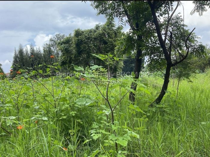 Farm/Plot for Sale in Philadelphia, Harare