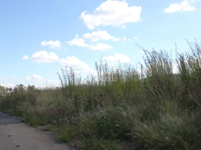 Residential Stand for Sale in Madokero Estates, Harare