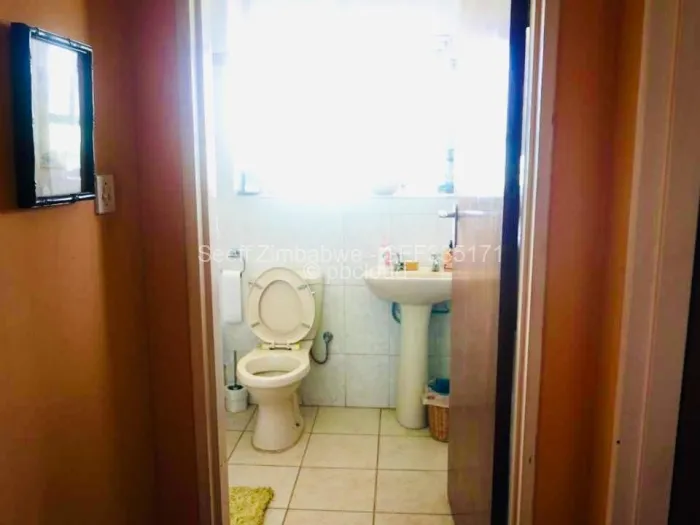 Flat/Apartment to Rent in Avenues