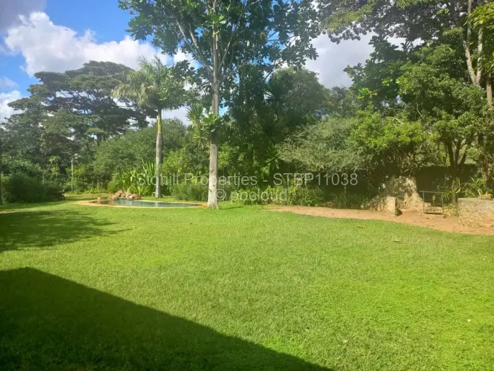 Commercial Property to Rent in Alexandra Park