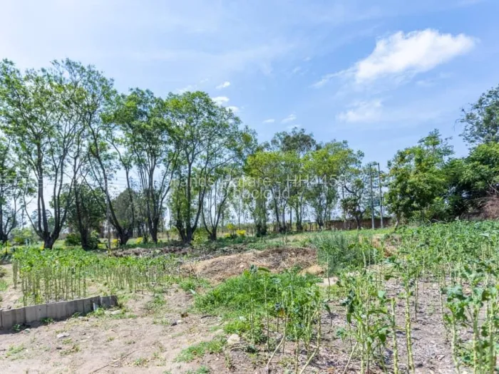 Farm for Sale in Ruwa, Ruwa