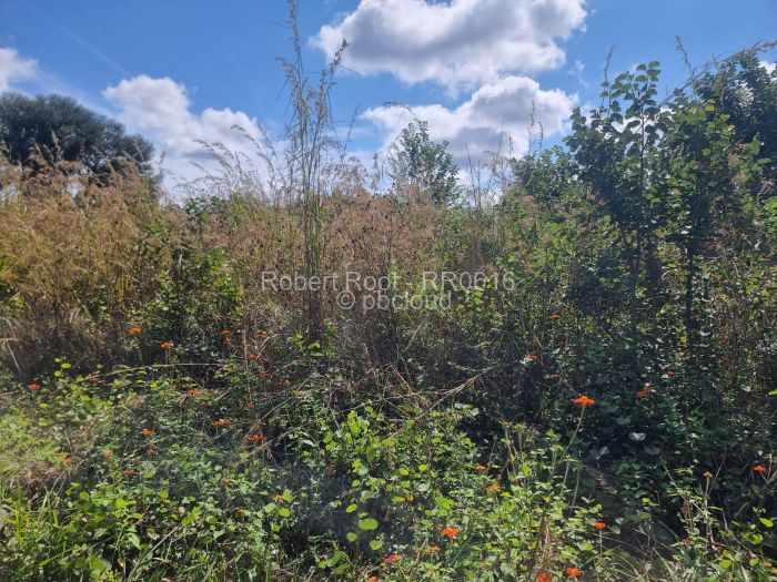 Farm/Plot for Sale in Helensvale, Harare