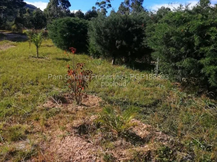 Land for Sale in Nyanga, Nyanga