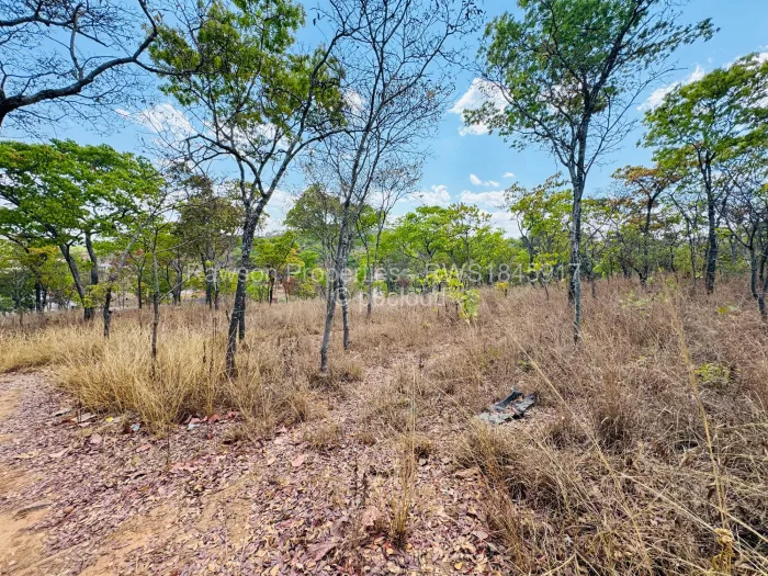 Residential Stand for Sale in Carrick Creagh Estate, Harare