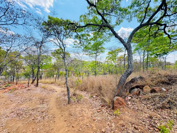 Residential Stand for Sale in Carrick Creagh Estate, Harare