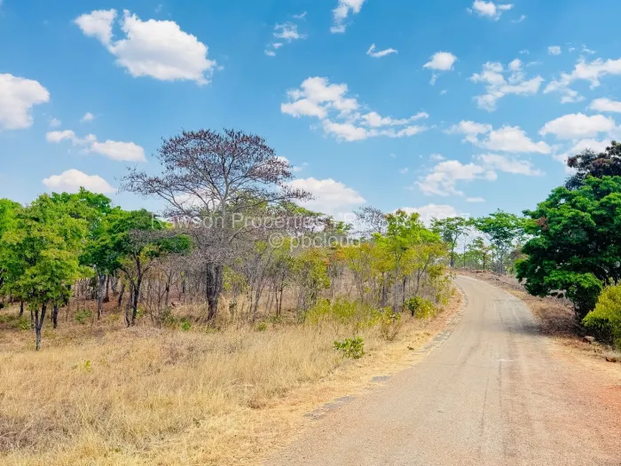 Residential Stand for Sale in Carrick Creagh Estate, Harare