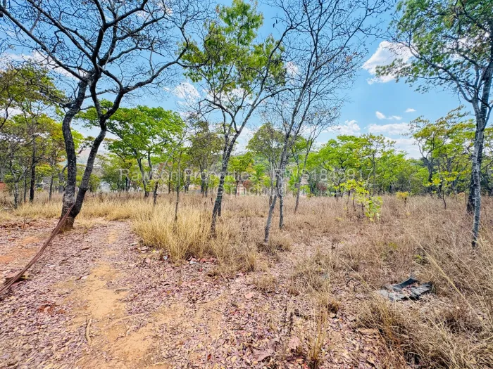 Residential Stand for Sale in Carrick Creagh Estate, Harare