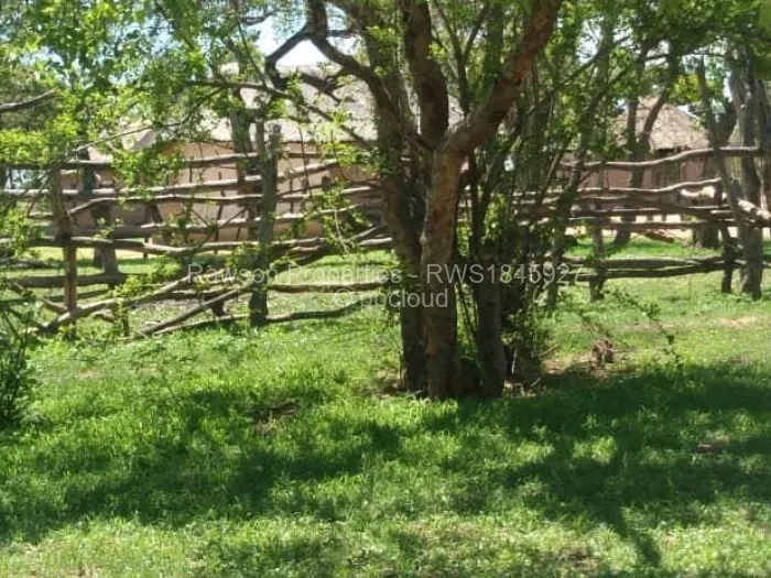 Farm for Sale in Solusi, Bulawayo