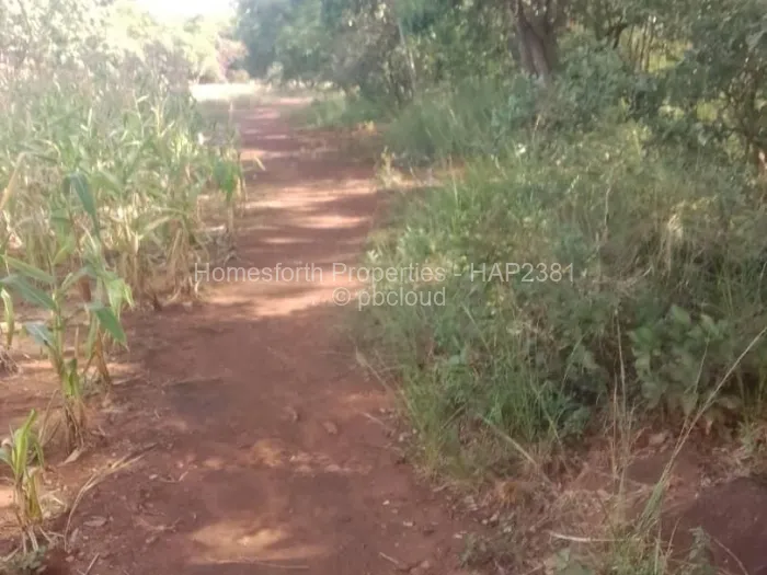 Land for Sale in Christon Bank, Christon Bank