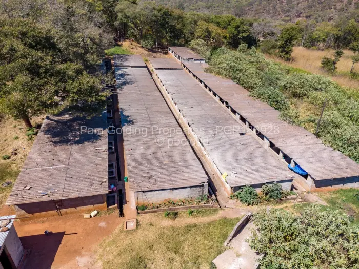 Farm for Sale in Cromlet, Arcturus