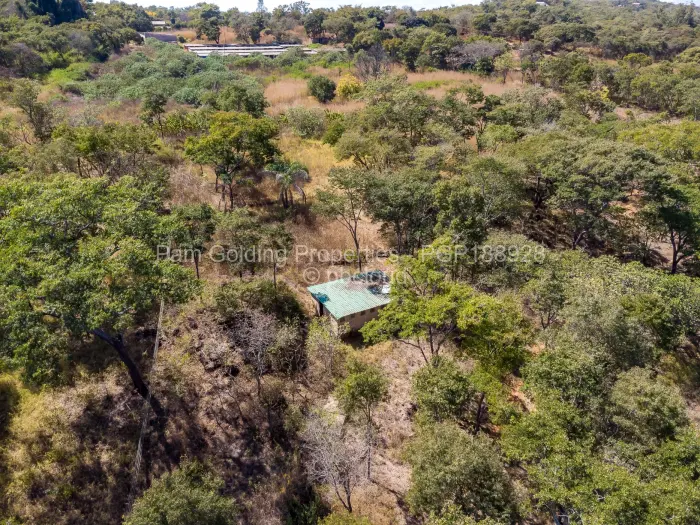 Farm for Sale in Cromlet, Arcturus