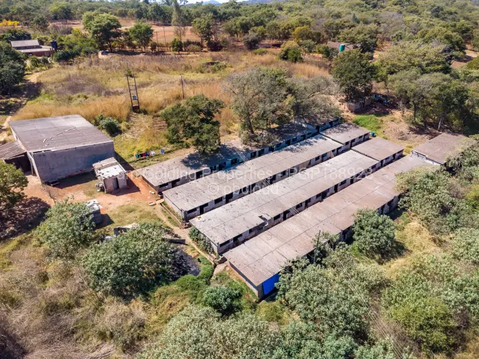 Farm for Sale in Cromlet, Arcturus