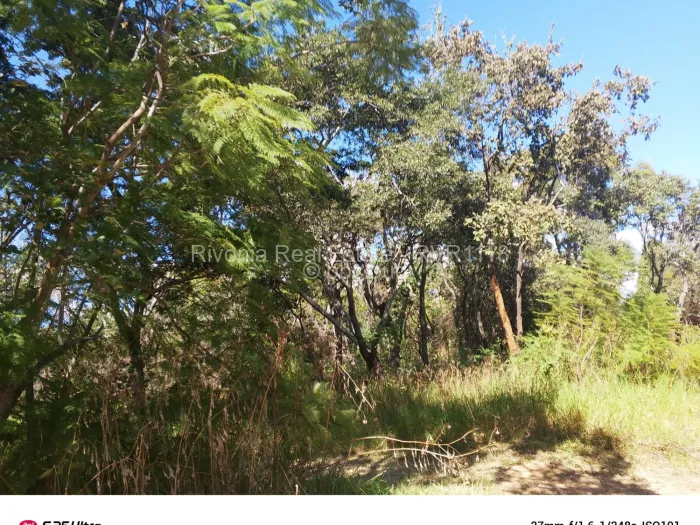 Land for Sale in Ruwa, Ruwa