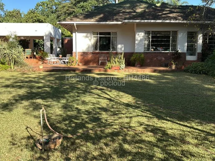 4 Bedroom House to Rent in Alexandra Park