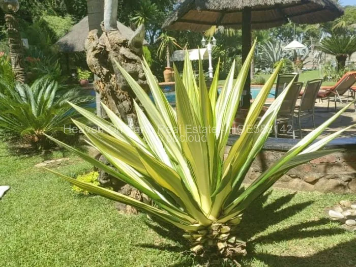 Warehouse/Industrial for Sale in Highlands, Harare