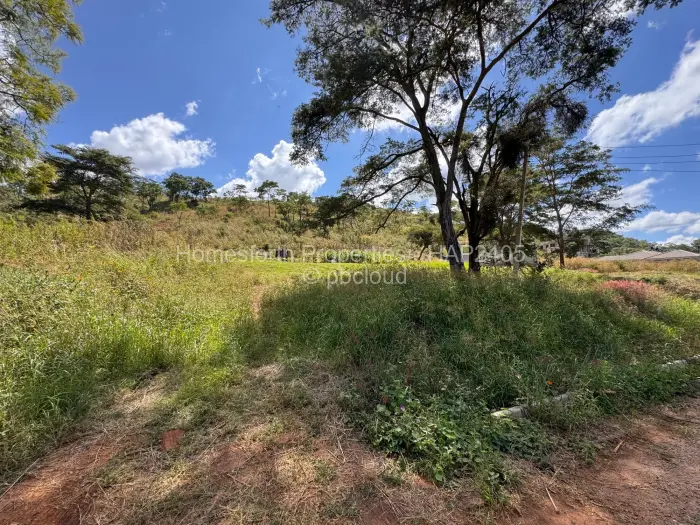 Residential Stand for Sale in Carrick Creagh Estate, Harare