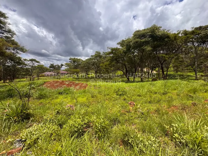 Residential Stand for Sale in Carrick Creagh Estate, Harare