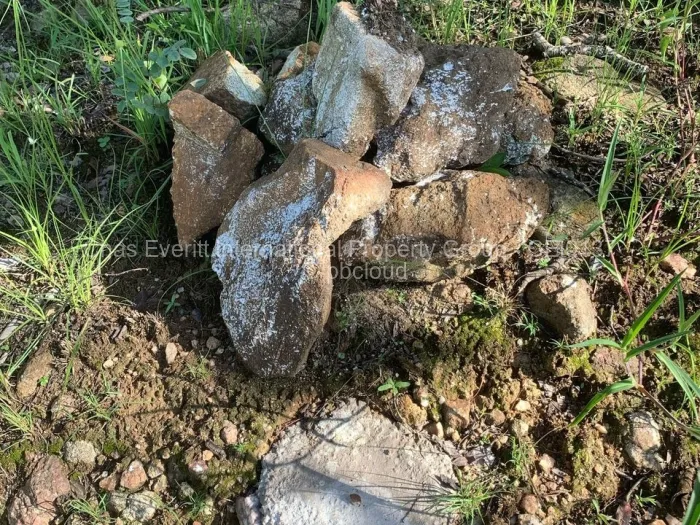 Commercial Stand for Sale in Juliasdale, Juliasdale