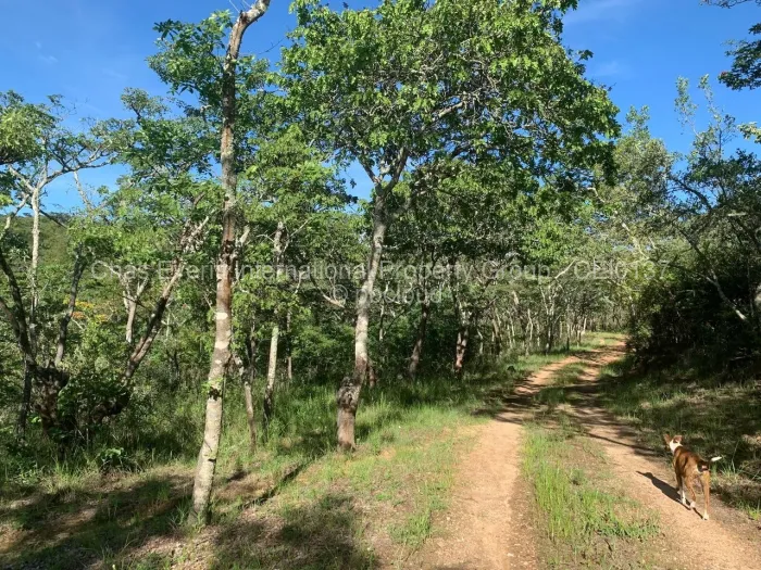 Commercial Stand for Sale in Juliasdale, Juliasdale