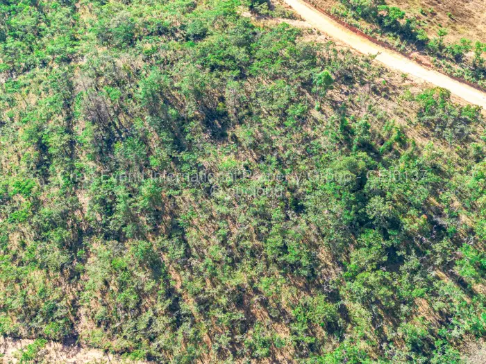 Commercial Stand for Sale in Juliasdale, Juliasdale