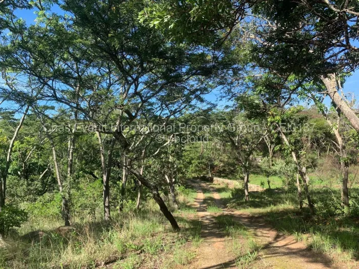 Commercial Stand for Sale in Juliasdale, Juliasdale