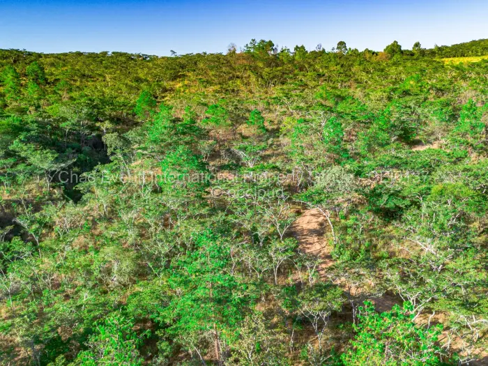 Commercial Stand for Sale in Juliasdale, Juliasdale