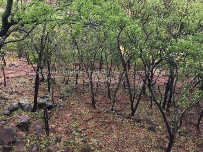 Commercial Stand for Sale in Juliasdale, Juliasdale