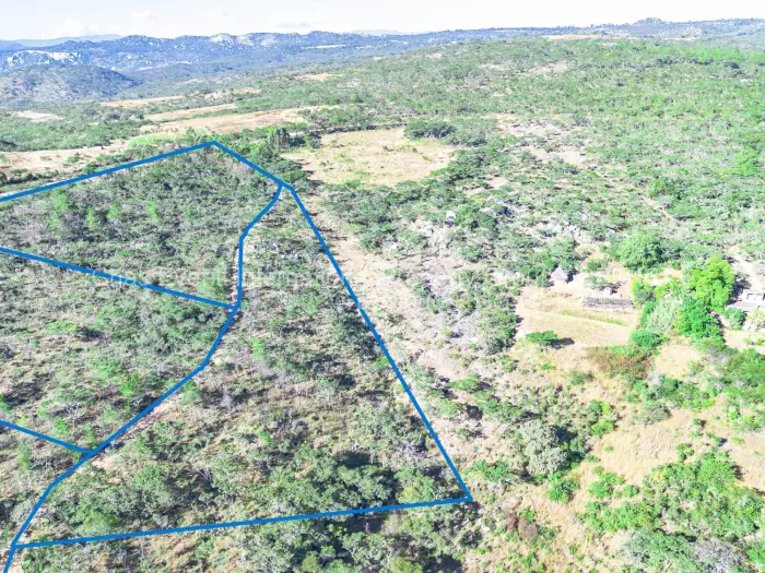 Commercial Stand for Sale in Juliasdale, Juliasdale