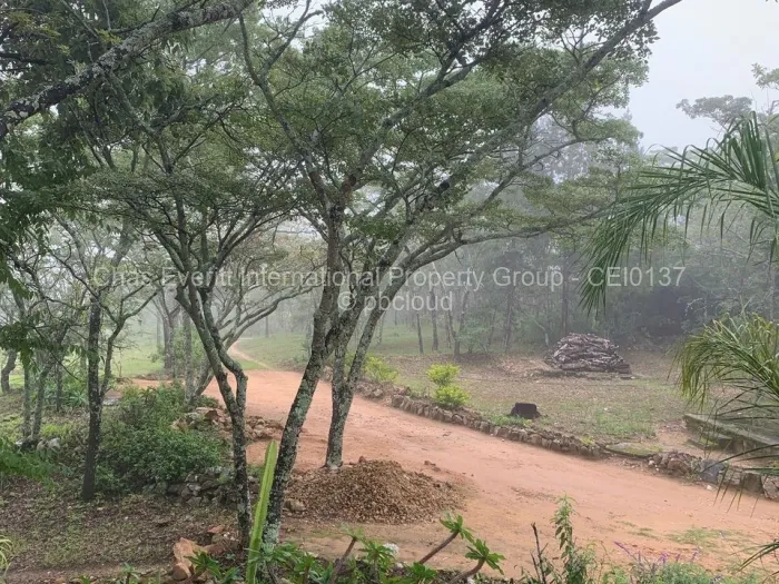 Commercial Stand for Sale in Juliasdale, Juliasdale