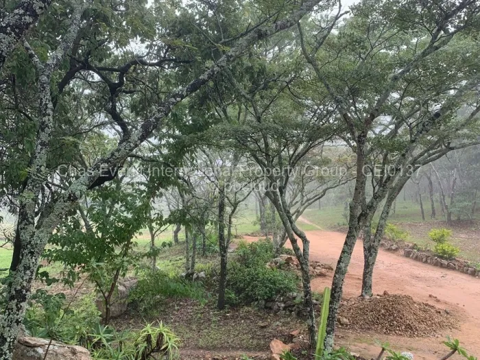 Commercial Stand for Sale in Juliasdale, Juliasdale