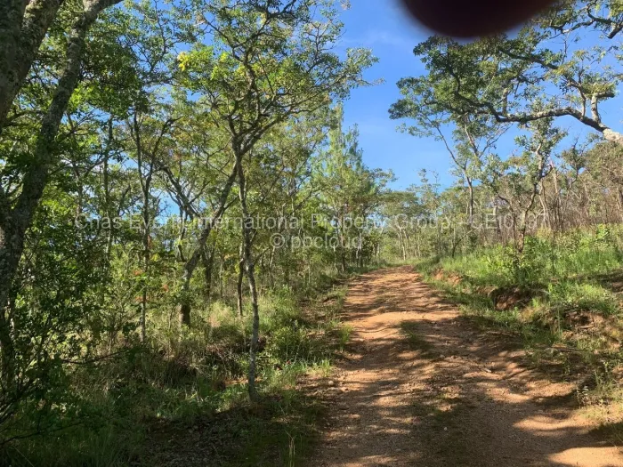 Commercial Stand for Sale in Juliasdale, Juliasdale